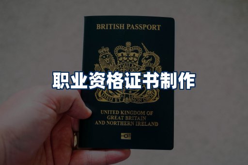 职业资格展示